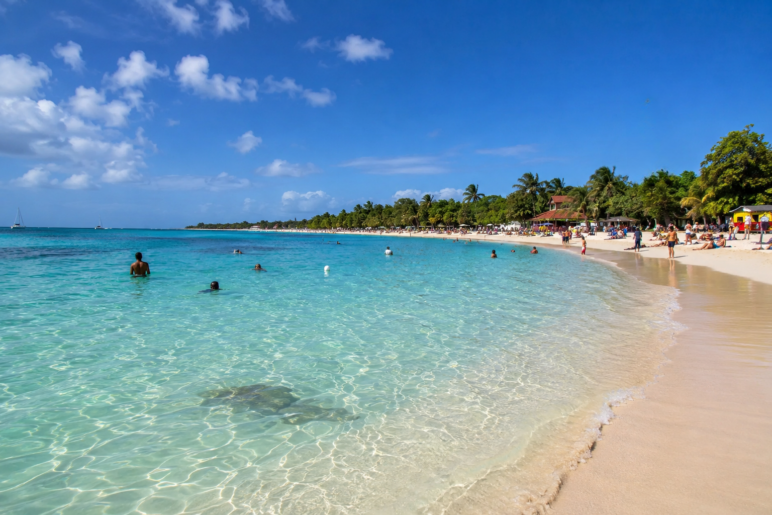 Sargasses en Guadeloupe cet été 2026 : quelles plages sont épargnées et où loger sereinement