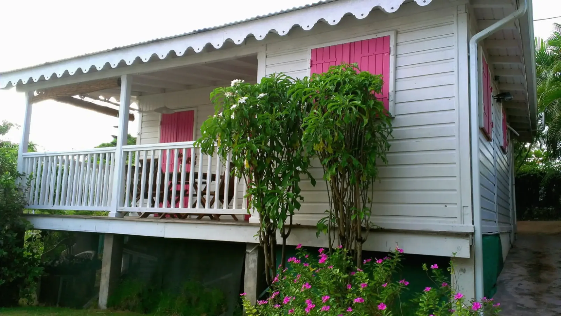 Bungalow Hibiscus