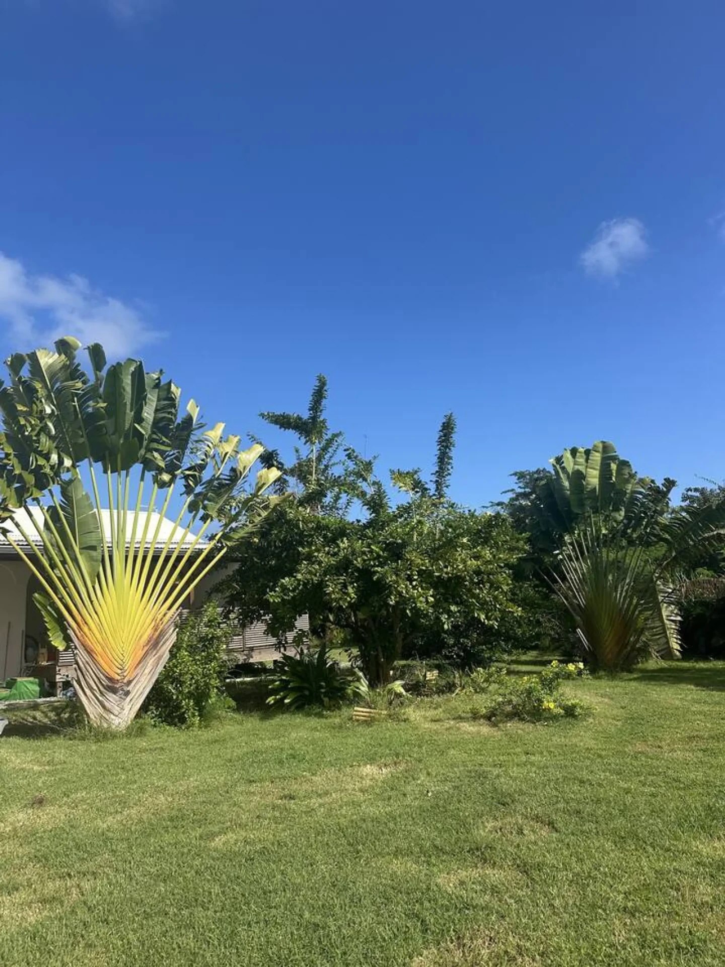 Villa Voyageurs